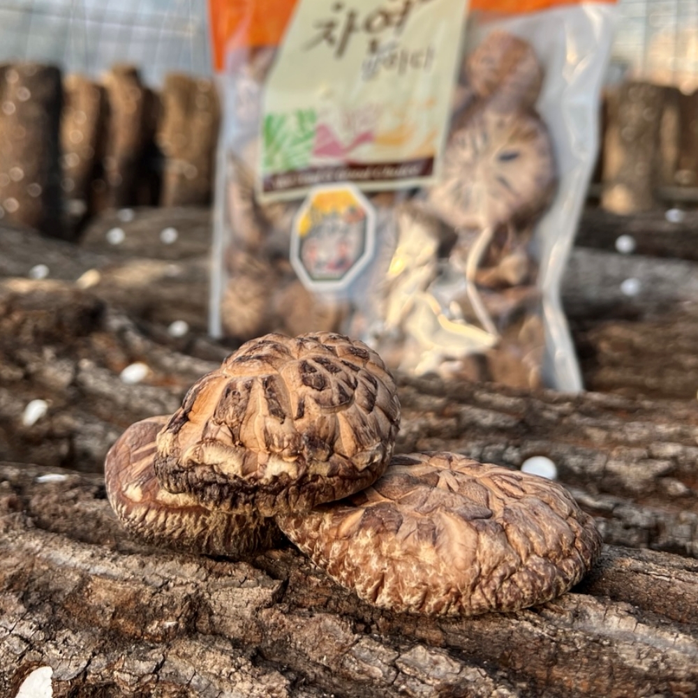 참나무 표고버섯 유기농 슬라이스 건표고버섯 통 건표고버섯(500g) - 상세 이미지 4