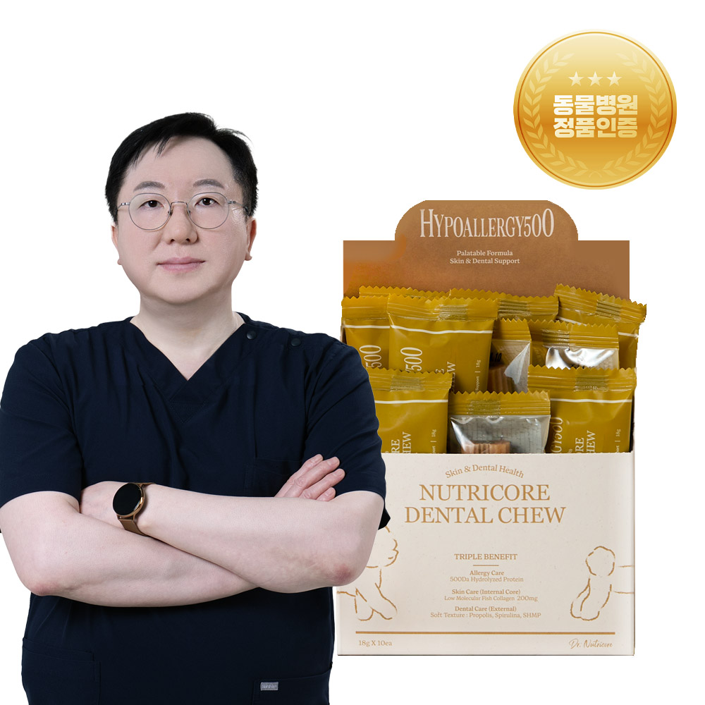 닥터뉴트리코어 하이포알러지500 눈물 피부 양치 치석관리 가수분해 간식 강아지 덴탈껌