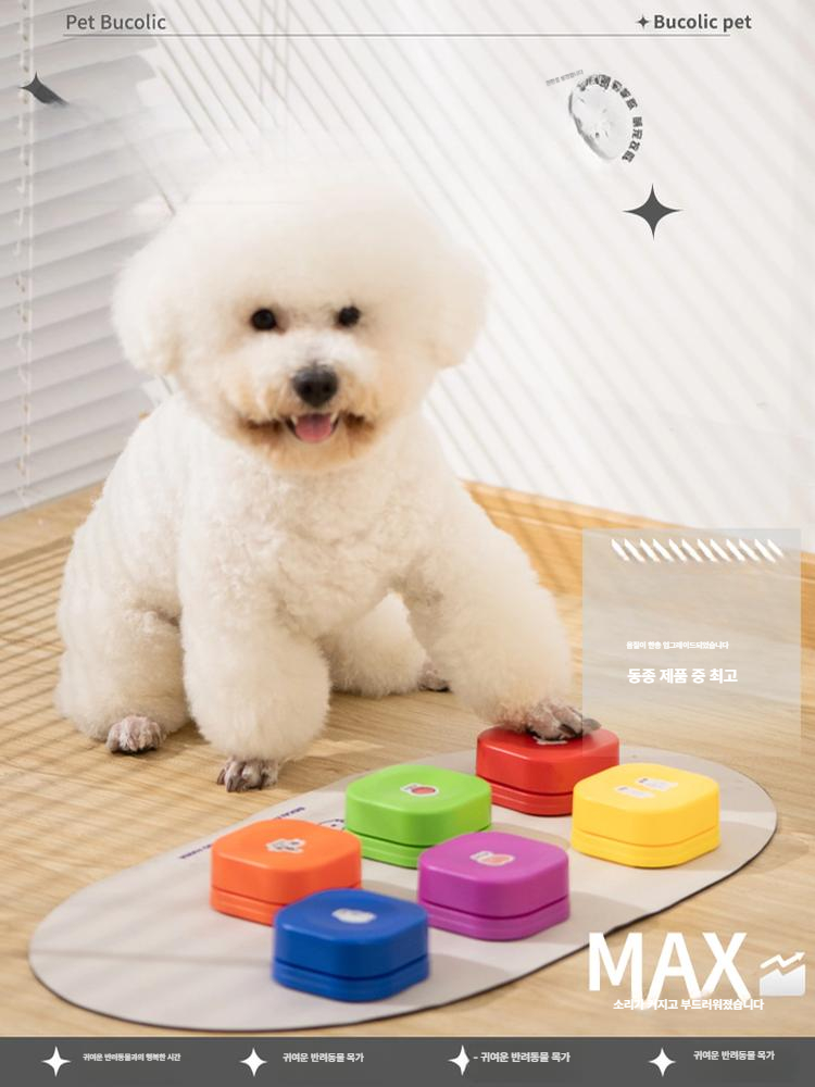강아지 말 번역기 강아지말 장난감 6종 벨 고양이 세트 녹음 훈련 제비꽃 보라 - 상세 이미지 2