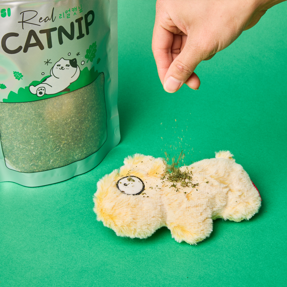 3651 리얼캣닢 캣그라스 대용량 벌크 고양이 캣닢가루 100g