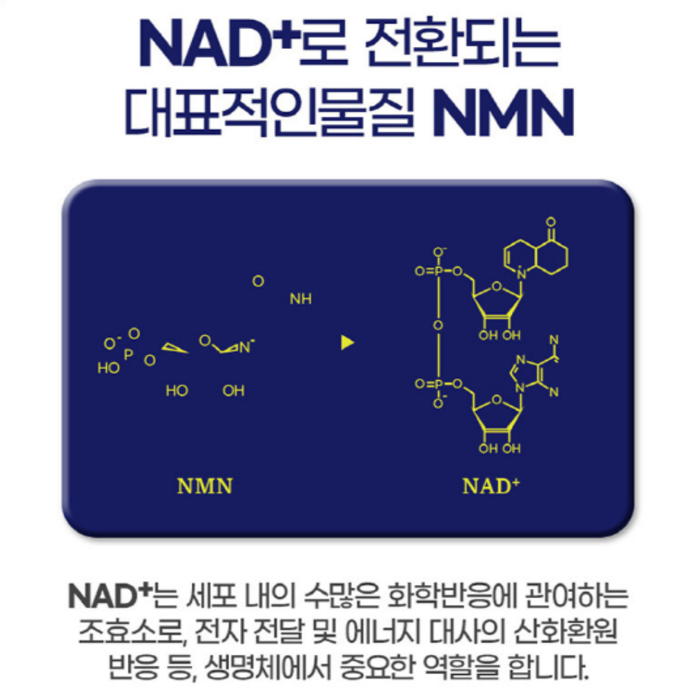 내츄럴플러스 식물성 NMN 파이토 엔엠엔 브로콜리 - 상세 이미지 4