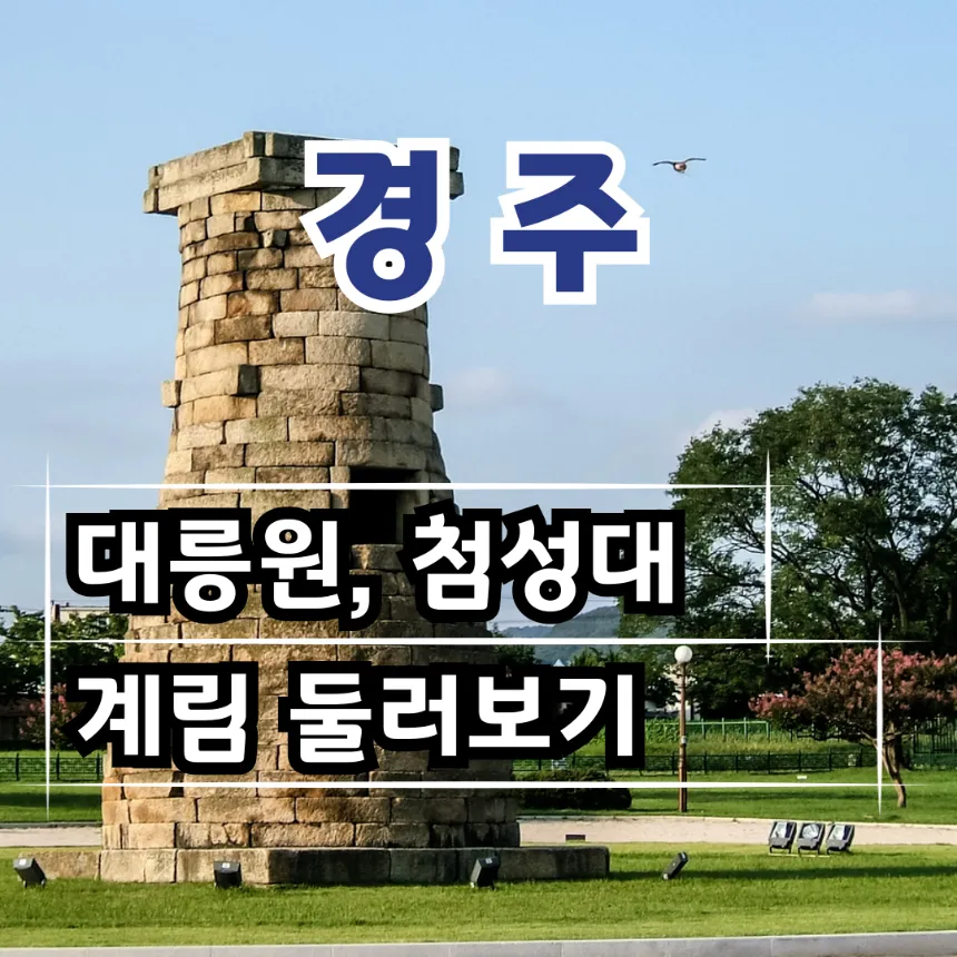 [대릉원/첨성대/계림] 경주 초등역사체험 교과연계 원데이 어린이 역사 도슨트 투어 신라역사 by 역사대장