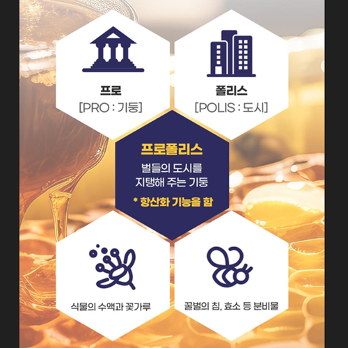캐나다 직수입 로얄 프로폴리스 180캡슐 1박스 6개월 플라보노이드 20mg 면역 효능 - 상세 이미지 3