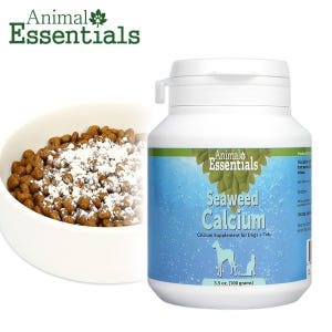 강아지 칼슘 마그네슘 영양제 관절 슬개골 미네랄 보충제 애견 반려견 무릎... 솔직 후기 | 실제 사용자 리뷰 총정리 - 상품 이미지 1