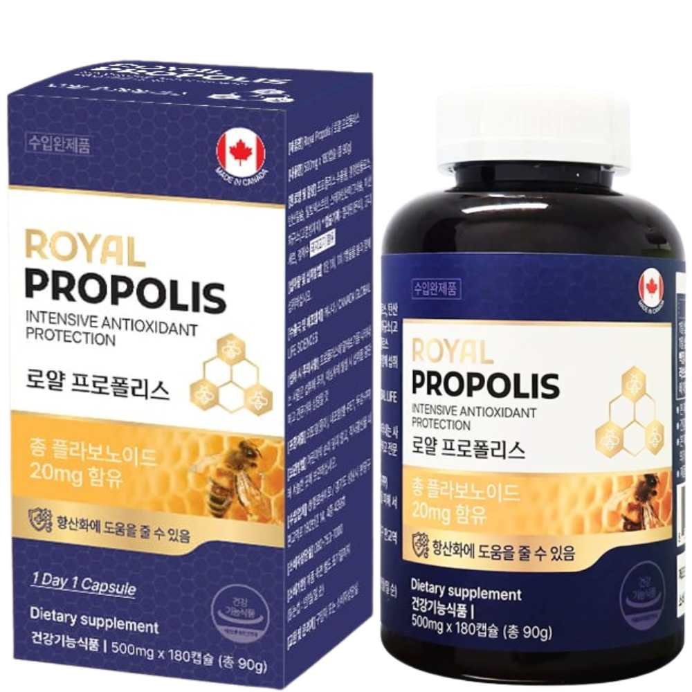 캐나다 직수입 로얄 프로폴리스 180캡슐 1박스 6개월 플라보노이드 20mg 면역 효능 - 상품 이미지