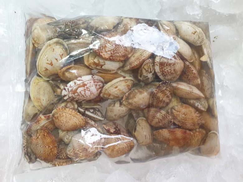 국내산 남해 바지락 1kg - 상세 이미지 2