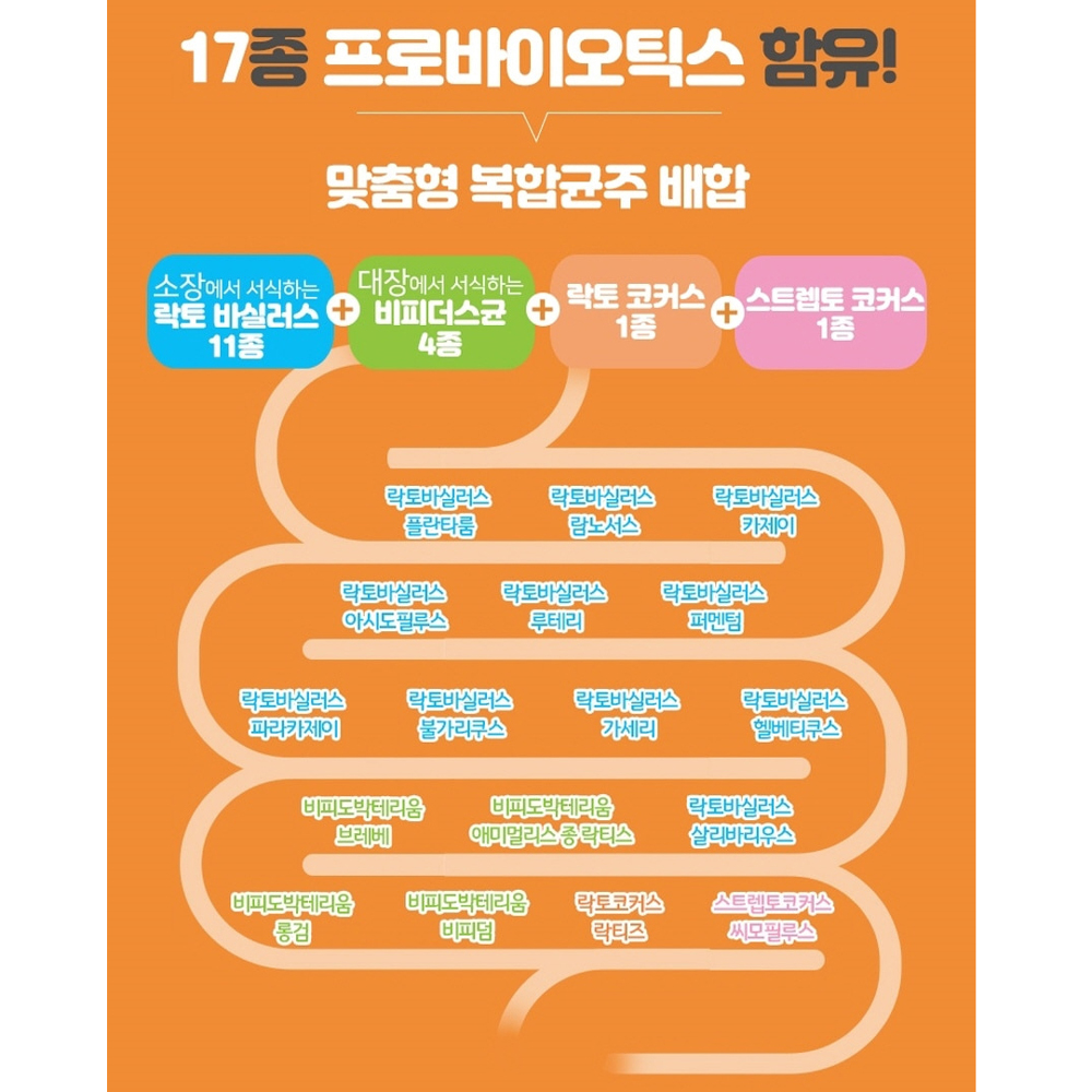 1000억유산균 포스트바이오틱스 3박스 비피더스균 임산부 이미지 6