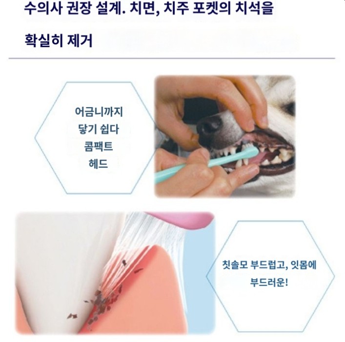 라이온 LION 펫키스 개 고양이 칫솔 12개 세트 둥근모