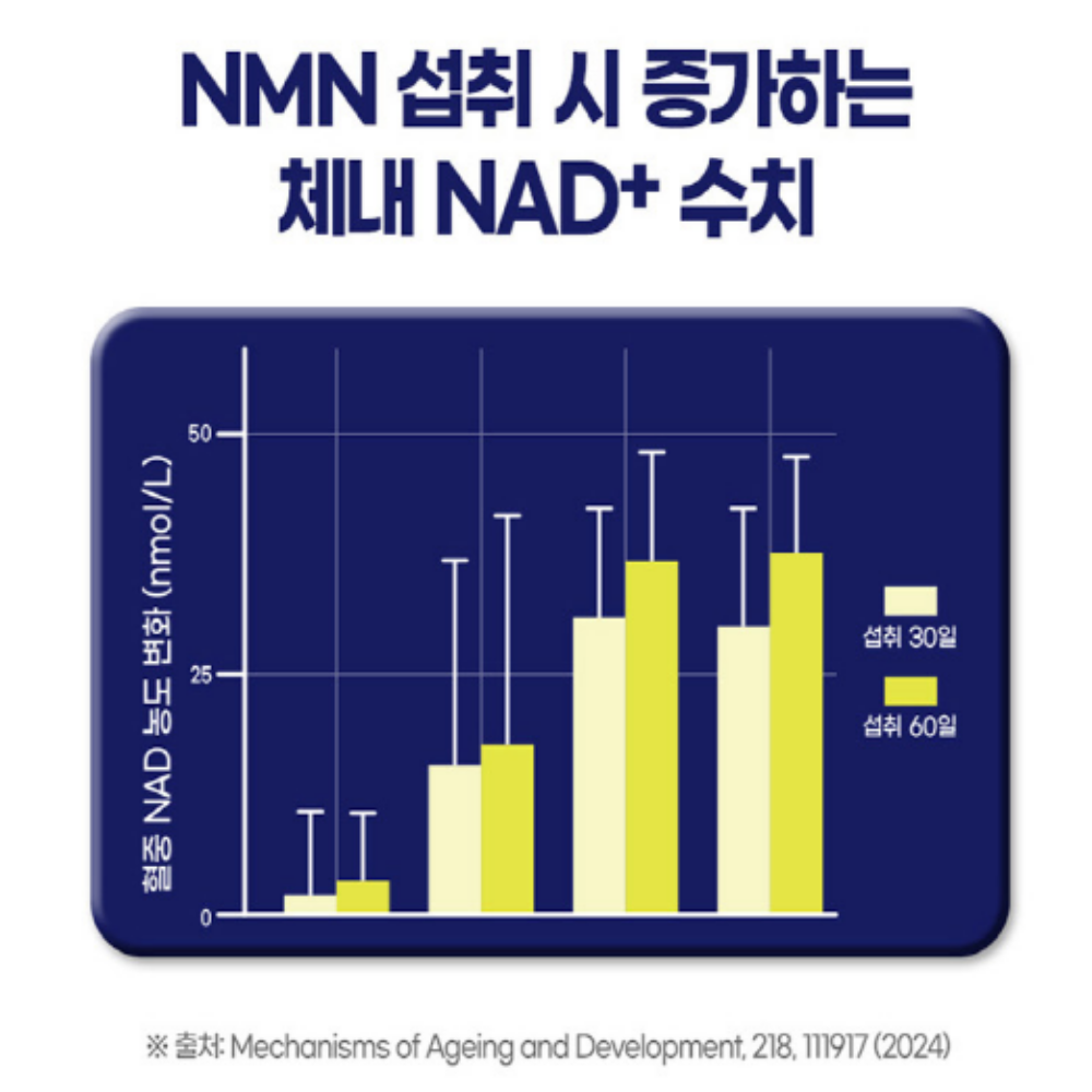 내츄럴플러스 식물성 NMN 파이토 엔엠엔 브로콜리 이미지 6