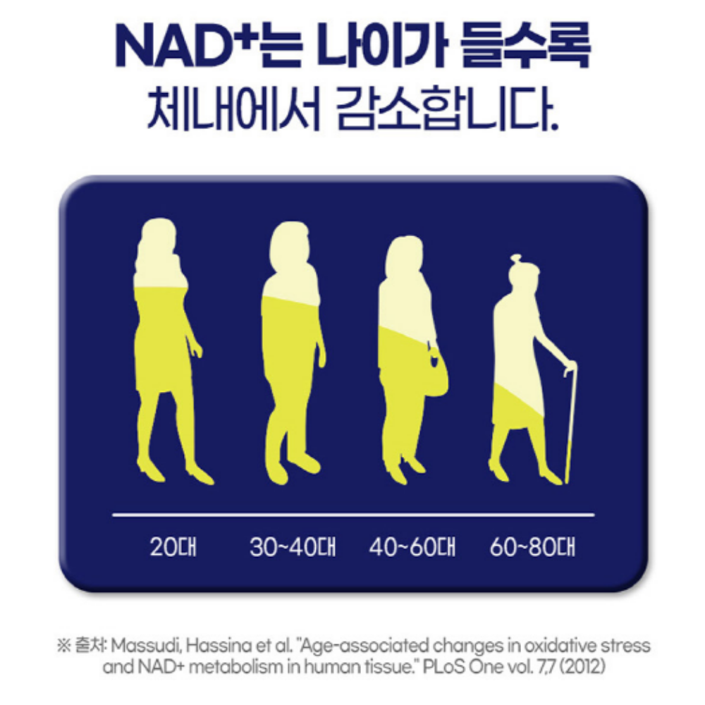 내츄럴플러스 식물성 NMN 파이토 엔엠엔 브로콜리 - 상세 이미지 5