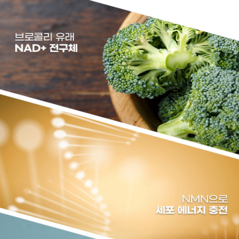 내츄럴플러스 식물성 NMN 파이토 엔엠엔 브로콜리 - 상세 이미지 3