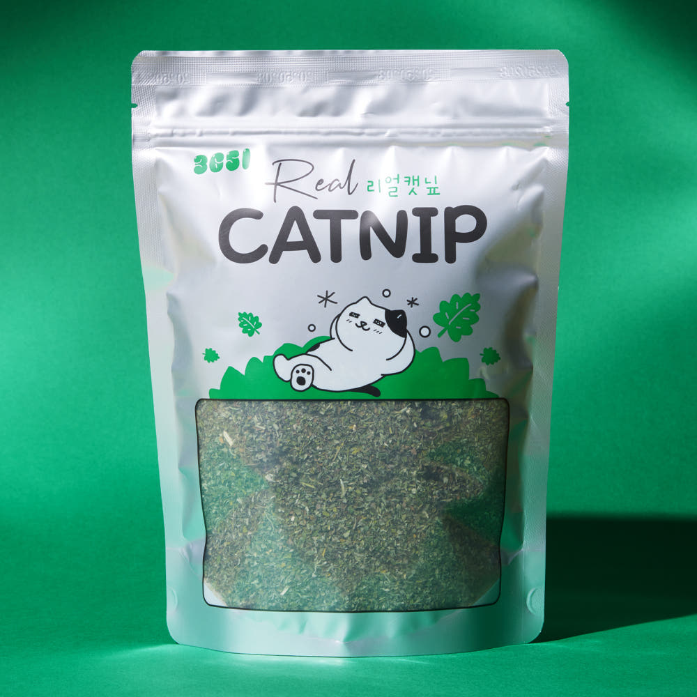 3651 리얼캣닢 캣그라스 대용량 벌크 고양이 캣닢가루 100g 가격 비교 3651 브랜드스토어 3651 리얼캣닢 캣그라스 대용량 벌크 고양이 캣닢가루 100g
