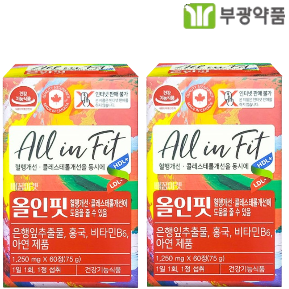 부광메디카 올인핏 60정 2박스 4개월 은행잎추출물 홍국 혈행 콜레스테롤 기억력 두뇌 - 메인 이미지