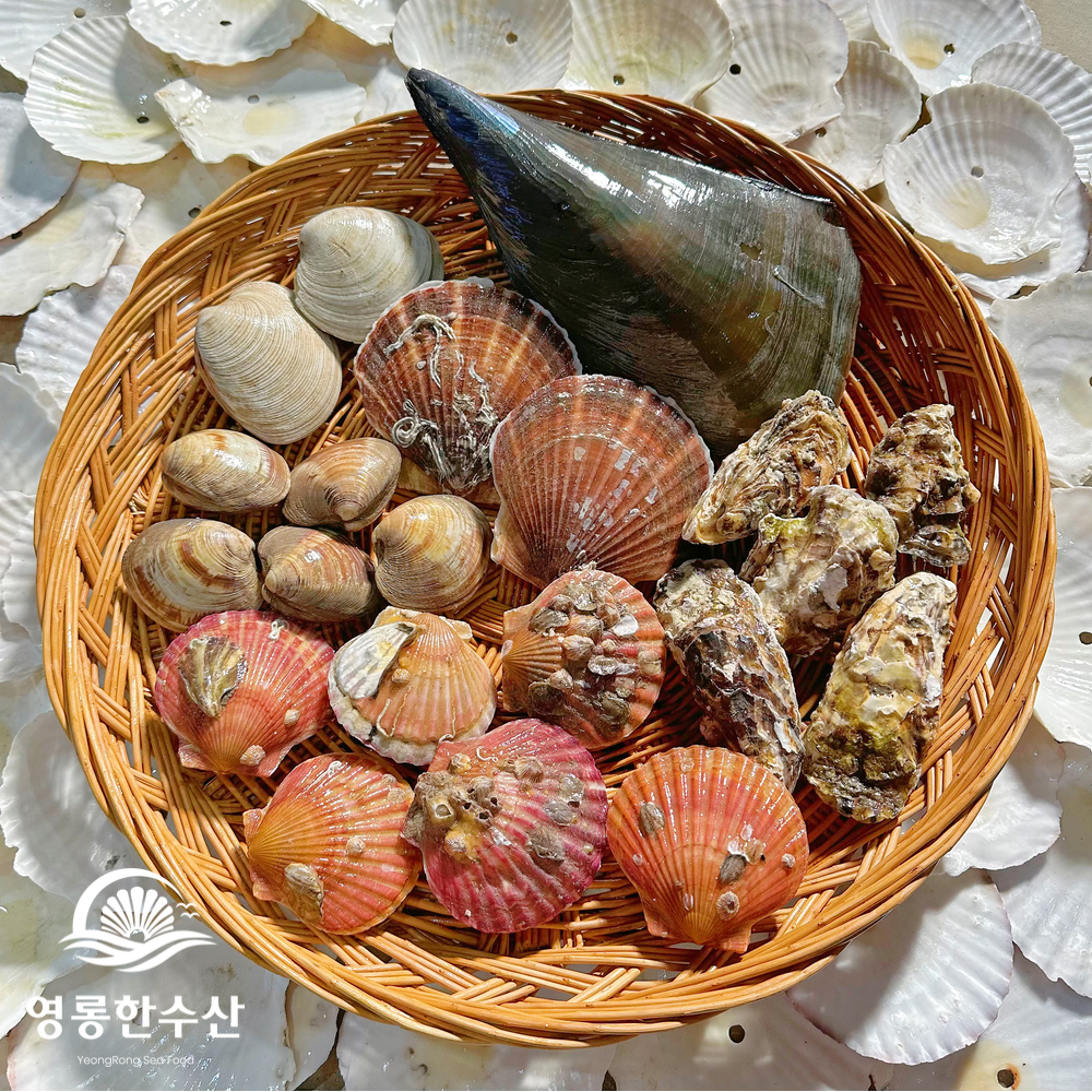 제철 모듬 조개 캠핑 밀키트 세트 (조개구이/조개찜/조개탕) - 상세 이미지 4