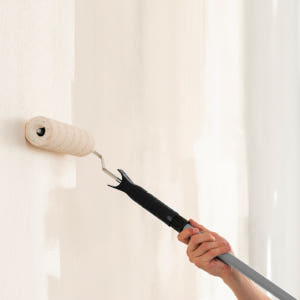 프로셀렉트 3단 확장 페인트롤러 178mm(7인치) 커버 1개포함 페인트... 실사용 후기 | 효과 있을까? - 상품 이미지 3