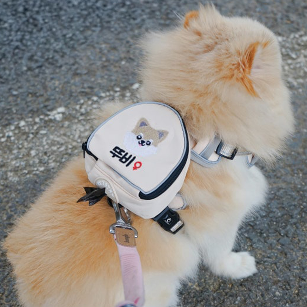 펫스츄리 강아지 가방 하네스 자수 이름표 에어백 캐릭터 XS S