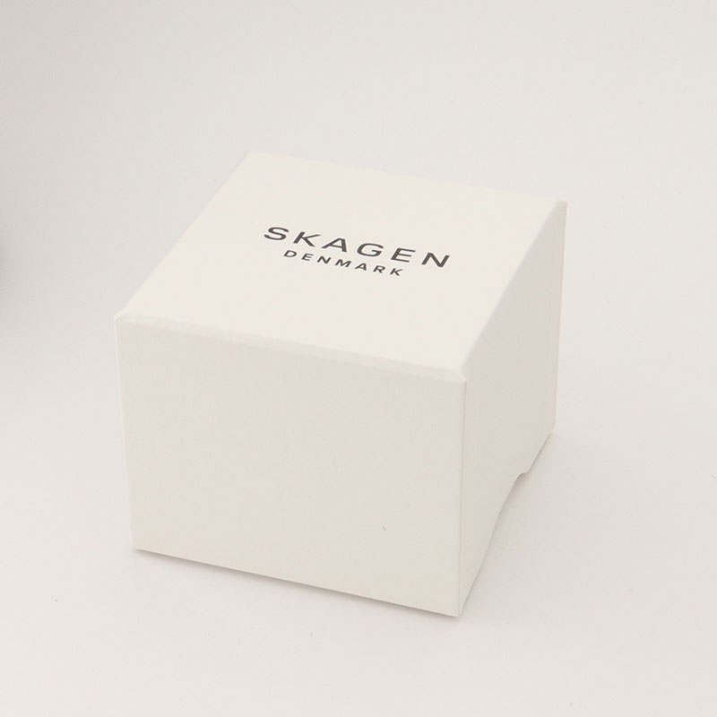 스카겐 SKAGEN MELBYE 쿼츠 남성 손목시계 SKW6007 이미지 6