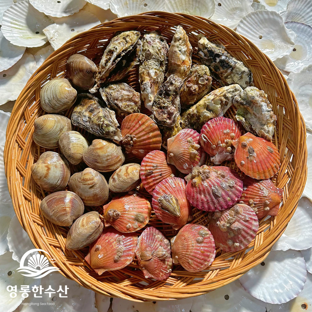 제철 모듬 조개 캠핑 밀키트 세트 (조개구이/조개찜/조개탕) - 상세 이미지 2