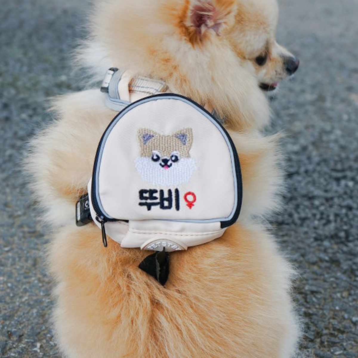 펫스츄리 강아지 가방 하네스 자수 이름표 에어백 캐릭터 XS S