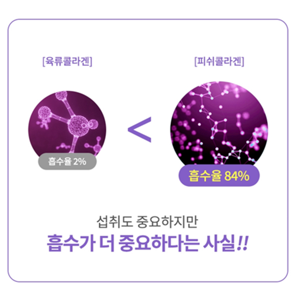 오스틴제약 리포좀 저분자 피쉬 콜라겐 180정 6개월 인지질 코팅 히알루론산 엘라스틴 - 상세 이미지 4