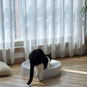 루시몰 고양이 원형 스크래쳐 화이트 52cm 솔직 후기 | 실제 사용자 리뷰 총정리 - 상품 이미지 2