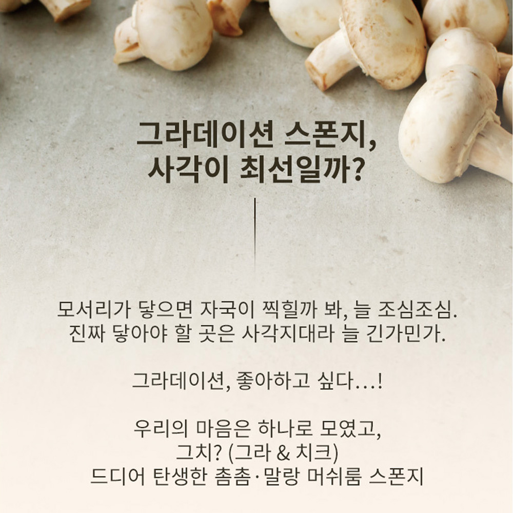 다이아미 그라데이션 머쉬룸 스펀지 50개입 - 상세 이미지 3