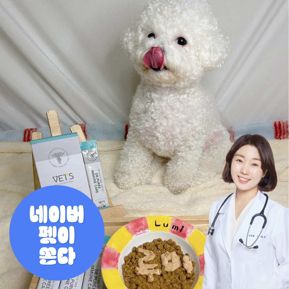 이뮨케어 한달분 고양이 구내염약 영양제 허피스 감기 기침 콧물 엘라이신