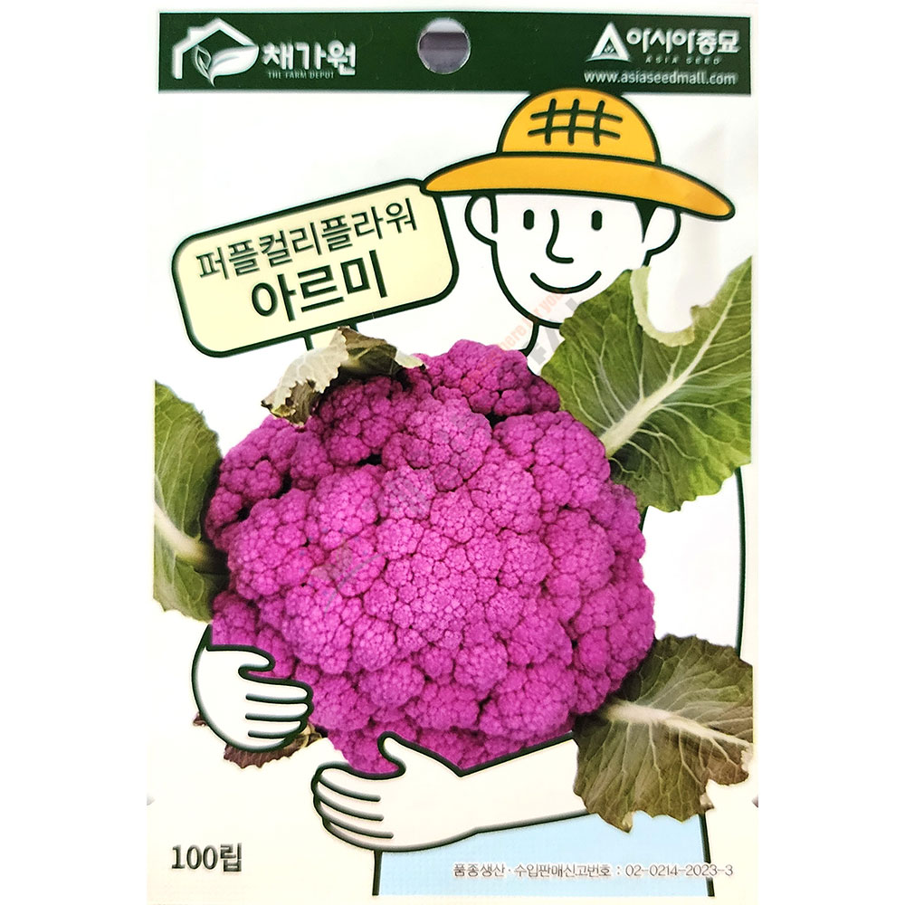 아르미 100립 아시아 25년 칼리플라워씨앗 : 제일농약사