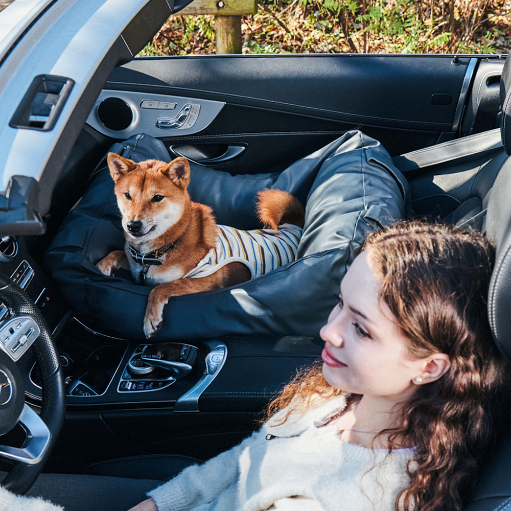 개과천선 하이브 강아지 애견 카시트 드라이빙킷 사계절 고급 차시트