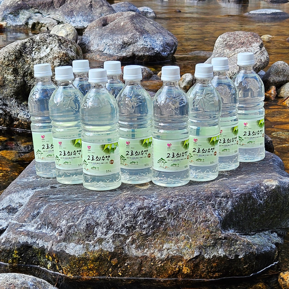 지리산 달궁마을 급냉 고로쇠 수액 고로쇠물 500ml - 상세 이미지 4
