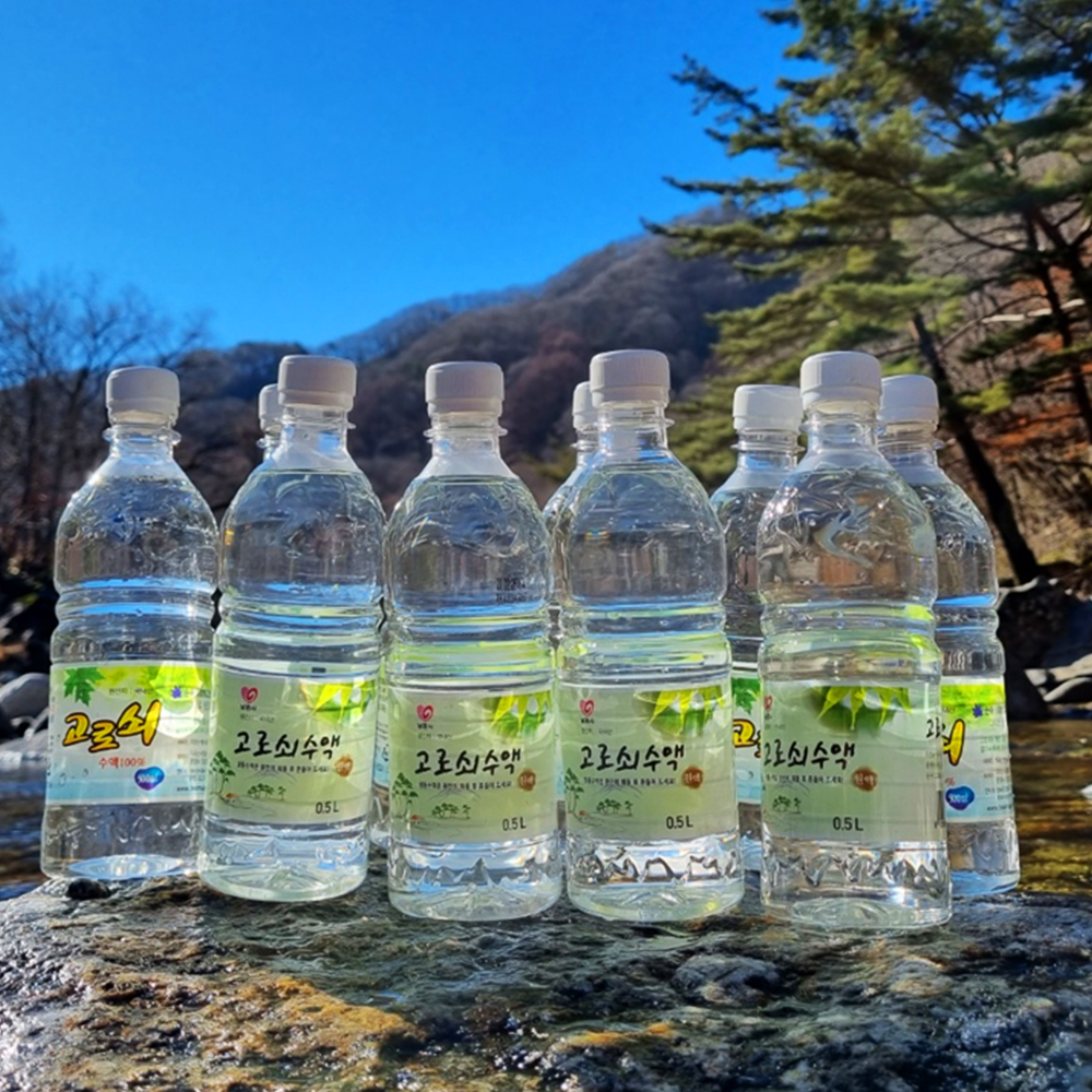 지리산 달궁마을 급냉 고로쇠 수액 고로쇠물 500ml - 상세 이미지 2