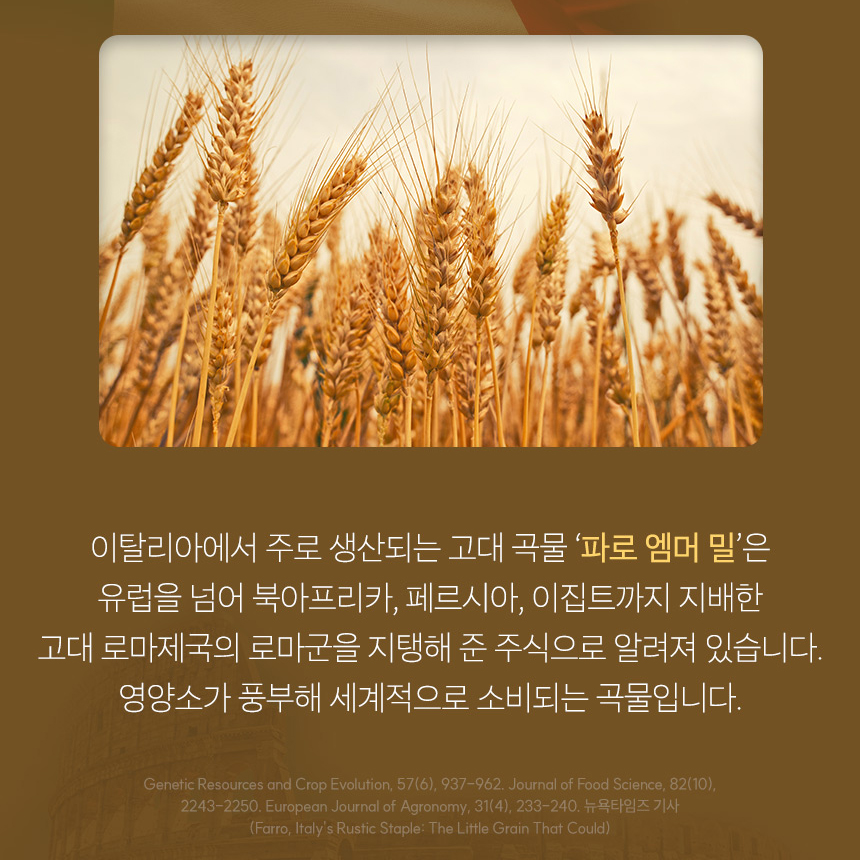 파로 효소 엠머밀 역가수치높은 통곡물 콤부과채 발효효소 분말 가루 파우더 240g - 상세 이미지 4