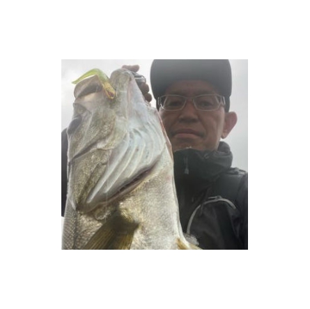 코어맨 알카리 쉐드 새드 농어 광어 바다 루어 웜 소프트베이트 043 코볼라 사파, 9cm 이미지 7