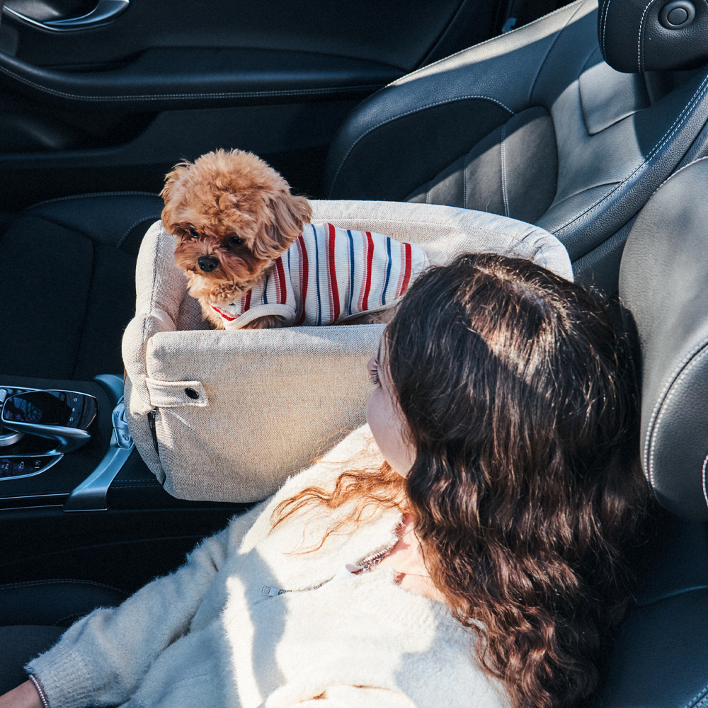 개과천선 루니 강아지 콘솔 카시트 소파지 드라이빙킷 풀커버 차시트 이동장 소형견 이동가방
