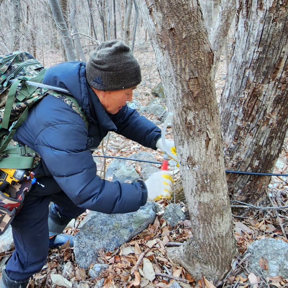 지리산 달궁마을 급냉 고로쇠 수액 고로쇠물 500ml