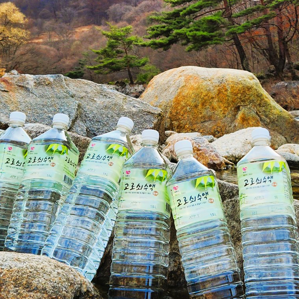 지리산 달궁마을 급냉 고로쇠 수액 고로쇠물 500ml - 상세 이미지 3