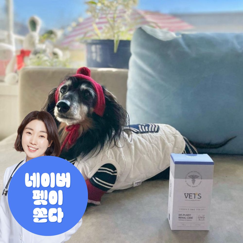 레날케어 한달분 강아지 신장 심장 영양제 신부전 오메가3