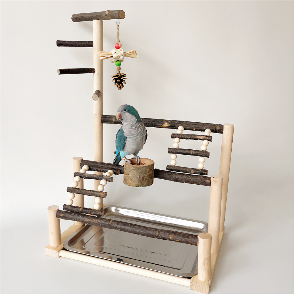 횟대 앵무새 놀이터 발톱갈이 횃대 자바트리 나무 새장