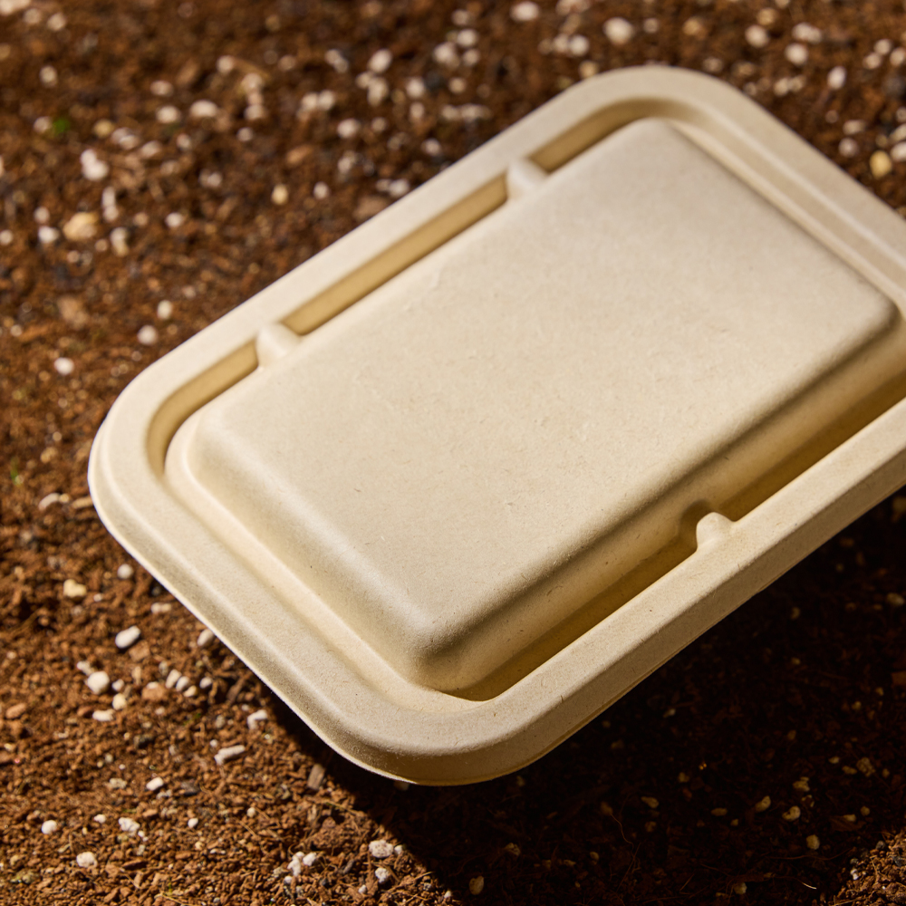 3651 쑥쑥 자라는 캣그라스 키우기 키트 재배세트 밀싹, 160g, 1개 이미지 3