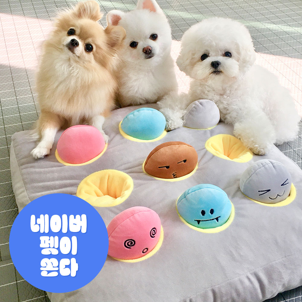 더플래 두더지 강아지 노즈워크 장난감