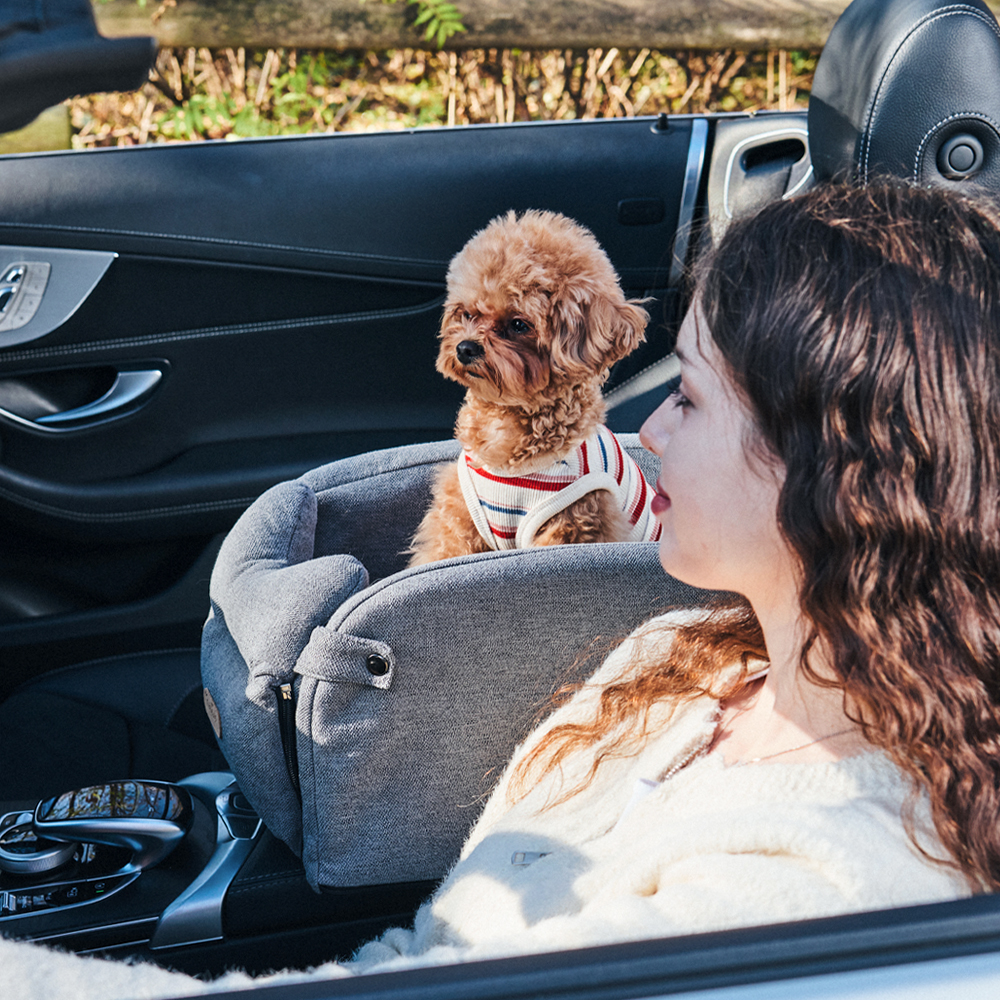 개과천선 루니 강아지 콘솔 카시트 소파지 드라이빙킷 풀커버 차시트 이동장 소형견 이동가방