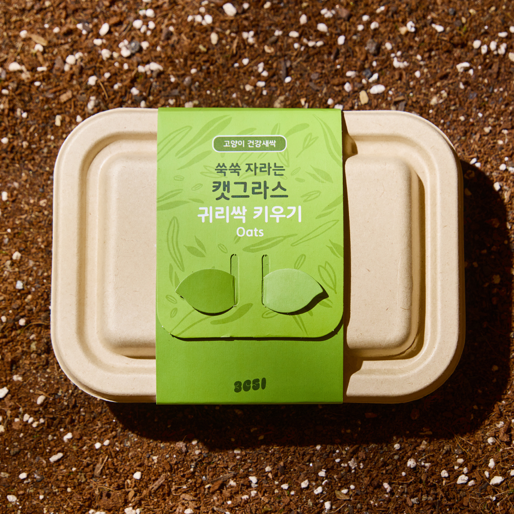 3651 쑥쑥 자라는 캣그라스 키우기 키트 재배세트 귀리싹, 160g, 1개 제품 이미지