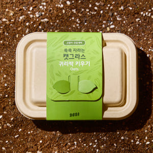 3651 쑥쑥 자라는 캣그라스 키우기 키트 재배세트 귀리싹, 160g, ... 솔직 후기 | 실제 사용자 리뷰 총정리 - 상품 이미지 1