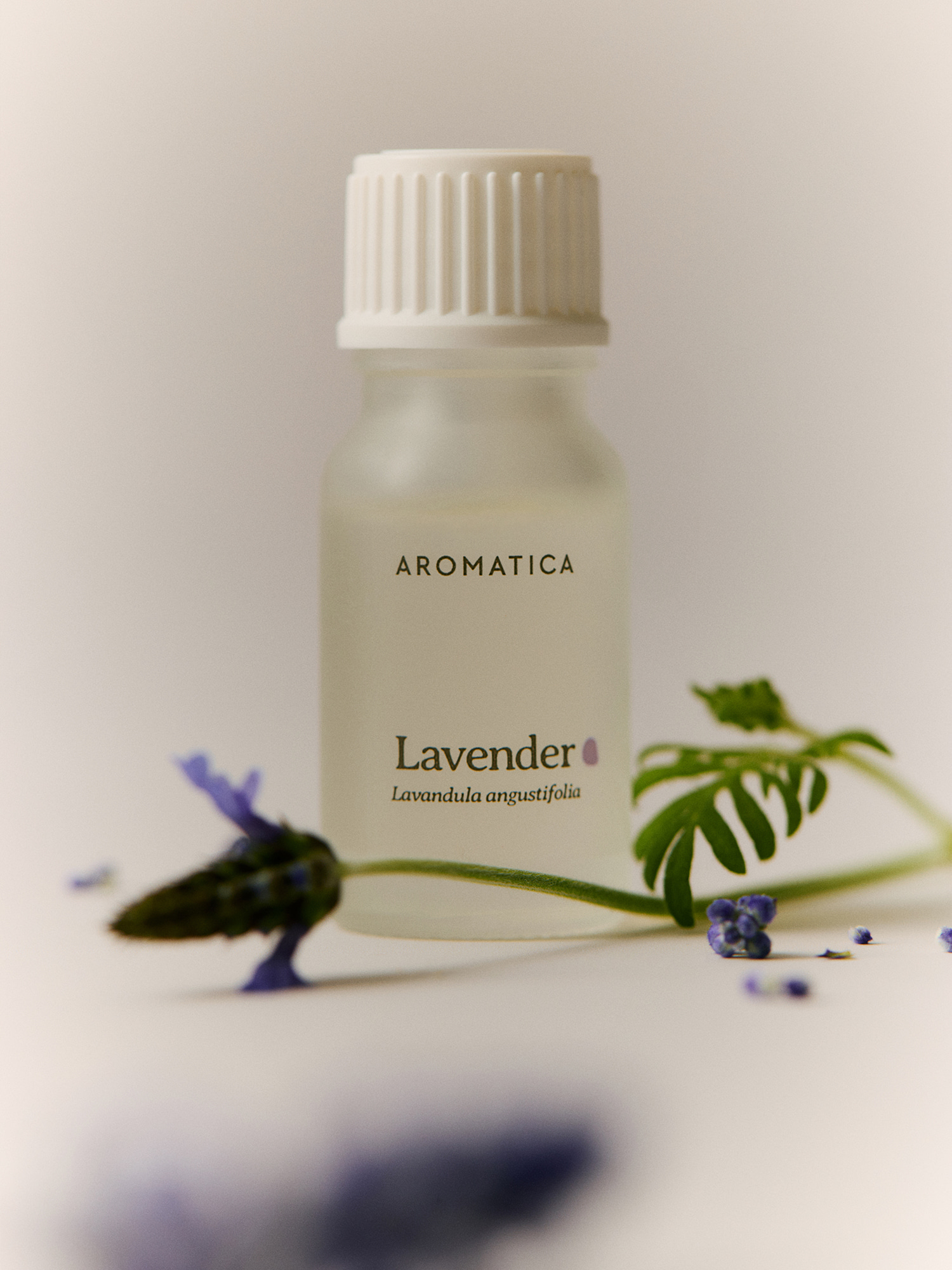 아로마티카 에센셜오일 10ML 티트리 아로마 원액 오일 긴장완화 숙면 수면 아로마테라피