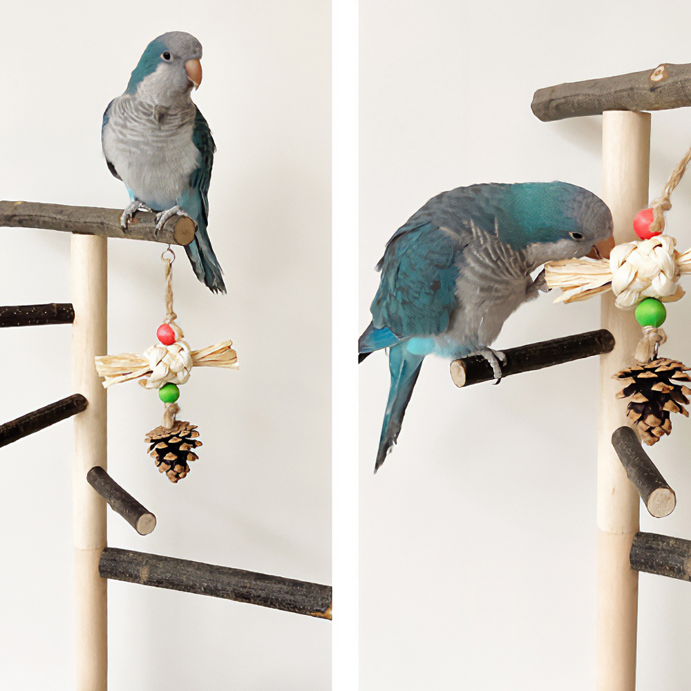 횟대 앵무새 놀이터 발톱갈이 횃대 자바트리 나무 새장 이미지 3