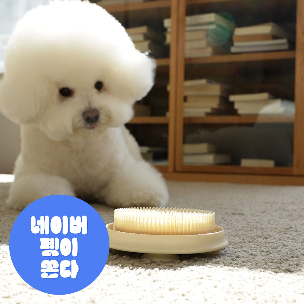 더플래 강아지 고양이 셀프 이빨닦기 입냄새제거 실리콘 스케일링 칫솔 덴탈케어 브러쉬