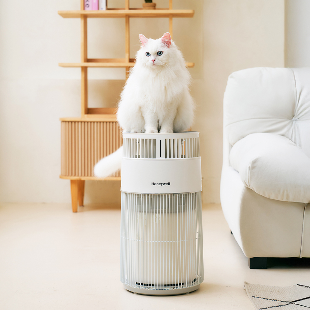 하니웰 펫 공기청정기 고양이 털 냄새 알레르기 제거 HEPA필터 가정용 음이온 소형 공청기