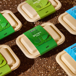 3651 쑥쑥 자라는 캣그라스 키우기 키트 재배세트 밀싹, 160g, 1... 솔직 후기 | 실제 사용자 리뷰 총정리 - 상품 이미지 2