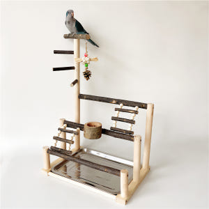 횟대 앵무새 놀이터 발톱갈이 횃대 자바트리 나무 새장 솔직 후기 | 실제 사용자 리뷰 총정리 - 상품 이미지 4