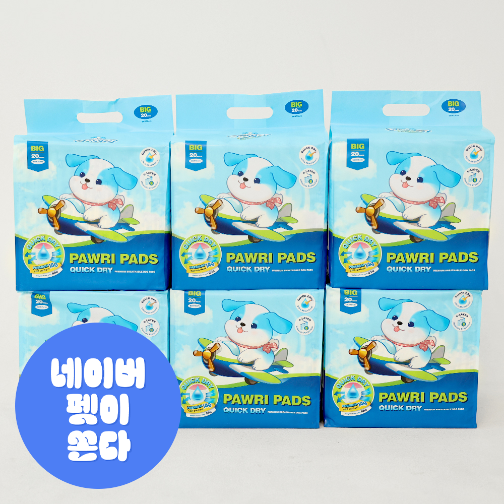 포우리 퀵드라이 고흡수 배변패드 큰패드 논슬립 두꺼운 대형, 20매입, 6개